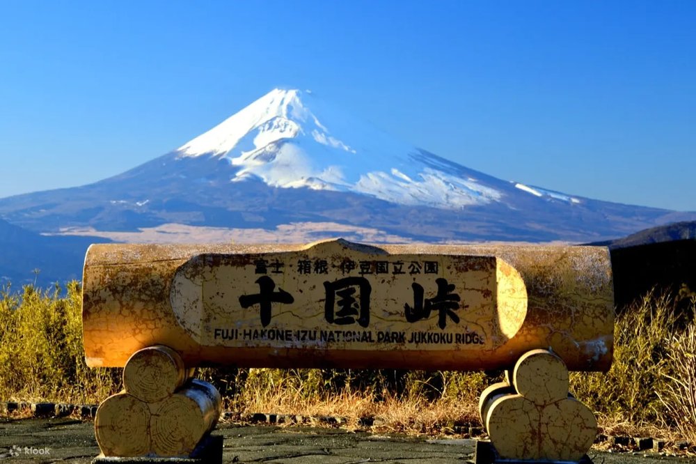 熱海花火大會＆箱根十國峠全景纜車＆來宮神社