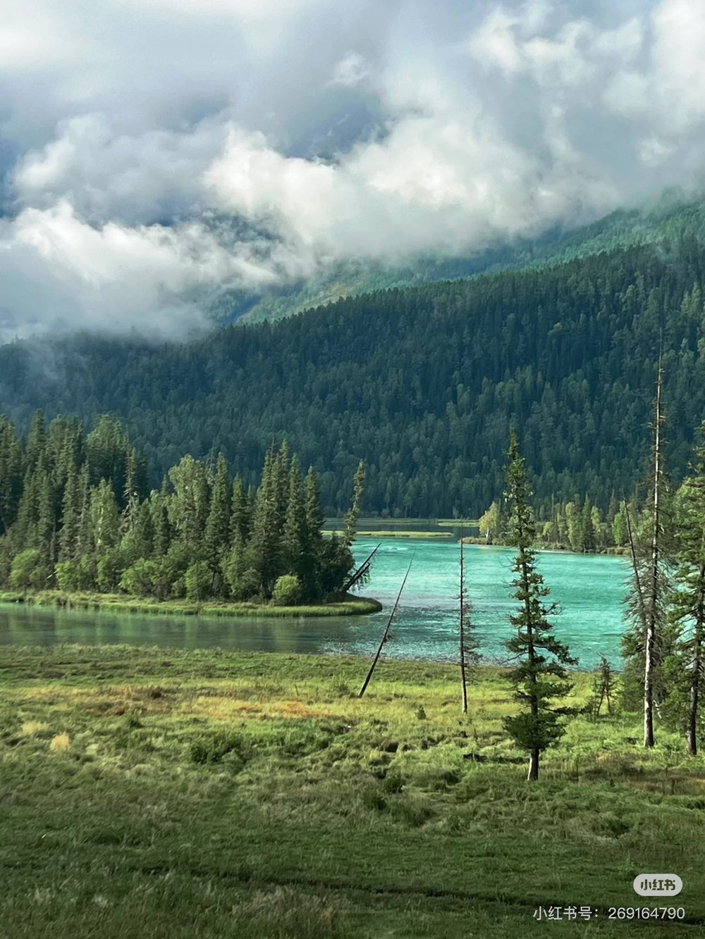 喀納斯三灣, 神仙灣, 喀納斯旅遊攻略, 喀納斯自由行, 喀納斯景點, 喀納斯湖
