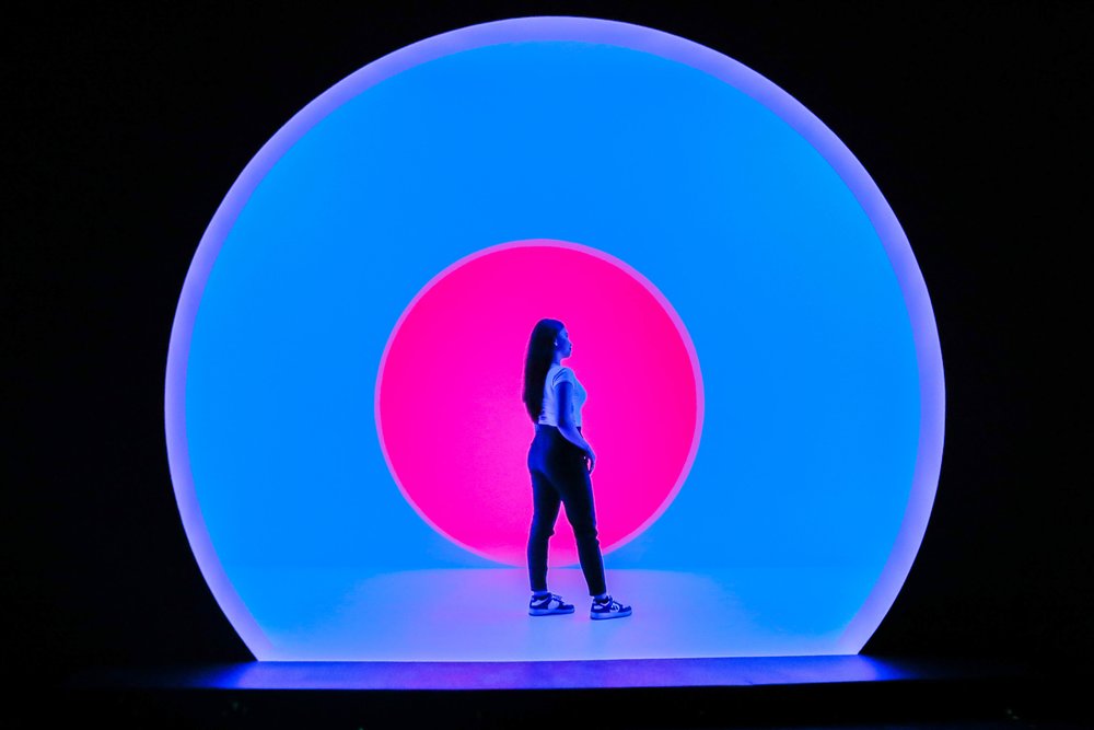 chasing the sun dna museum