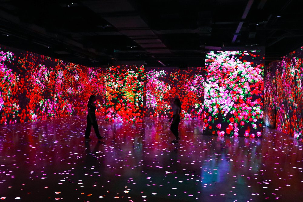 blooming moment dna museum