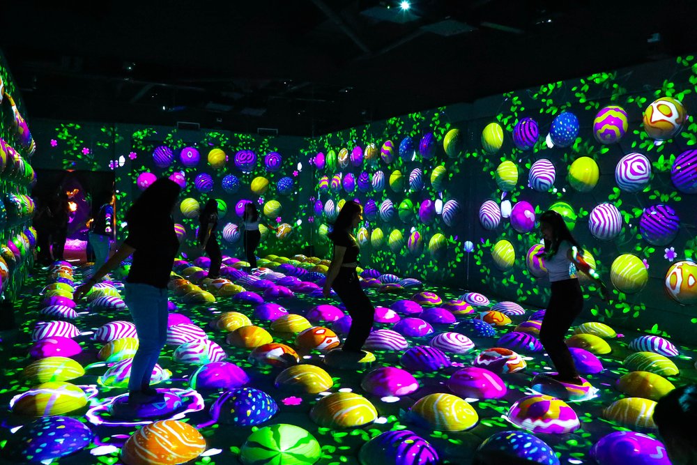 echo of light dna museum