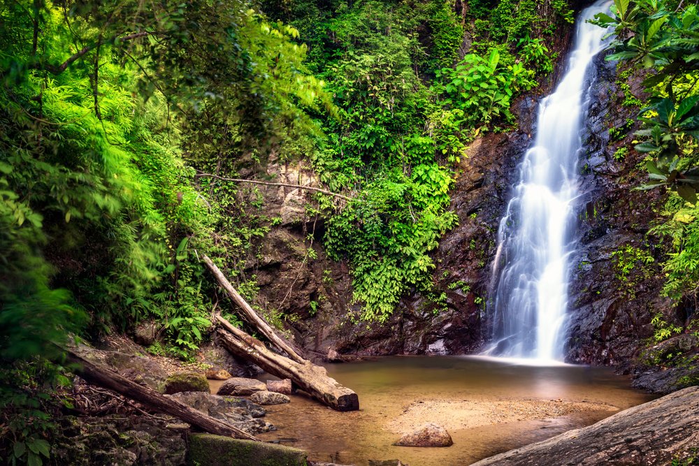 Mùa chuyển giao (Tháng 5 - Tháng 8)
