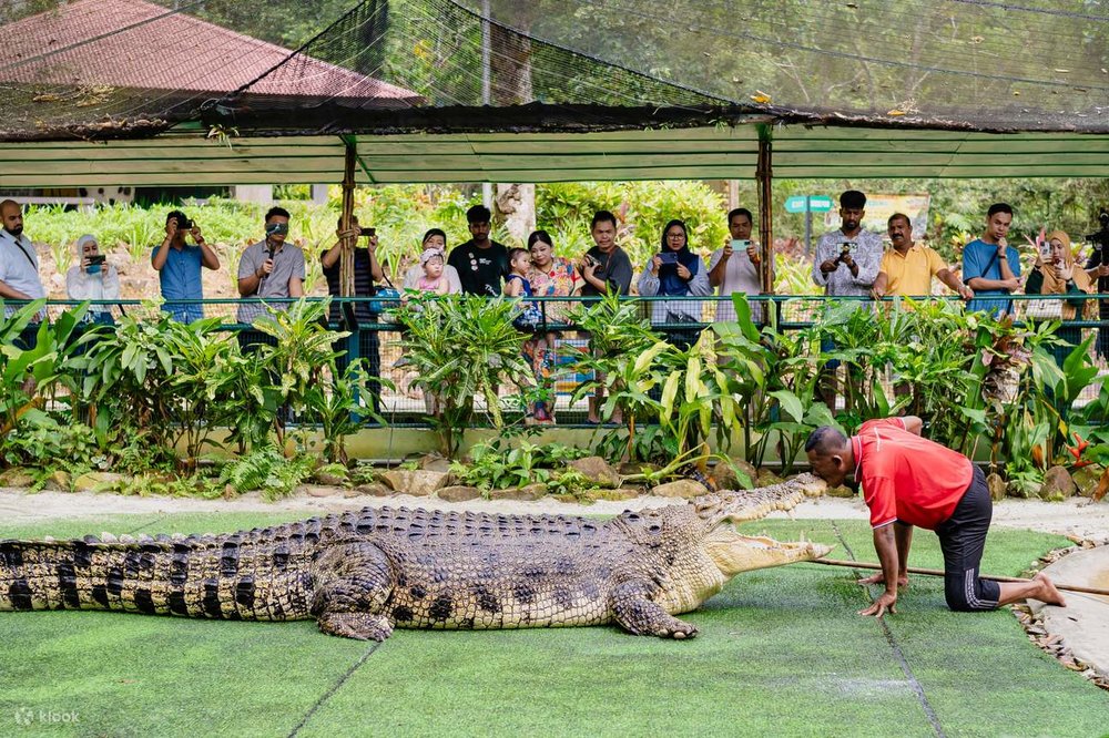 Công Viên Crocodile Adventureland Langkawi
