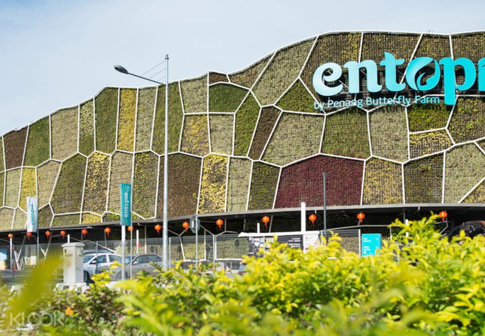 Hòa Mình Vào Thế Giới Bướm Entopia
