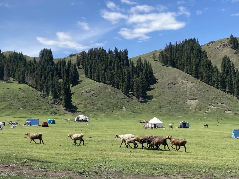 天山 天山天池 新疆