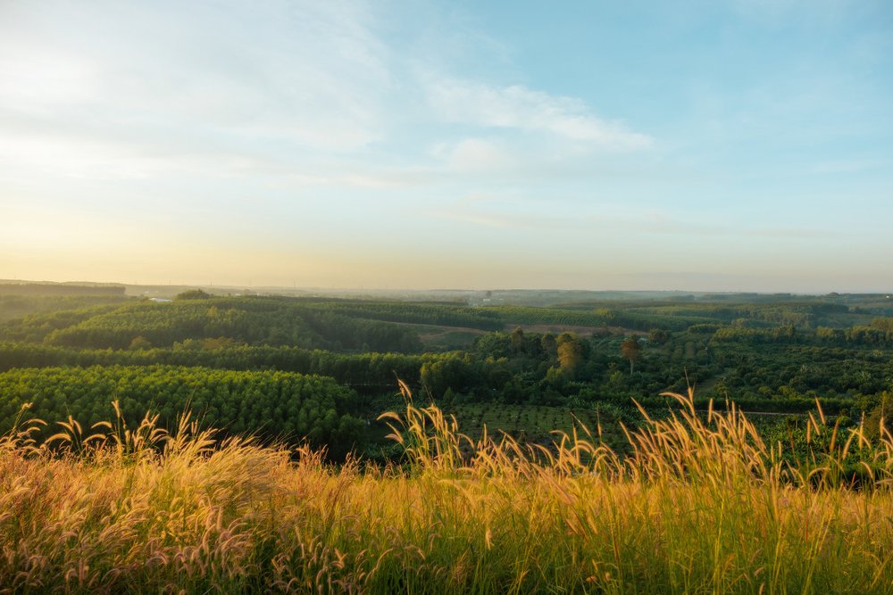 Chi Phí Du Lịch Hồ Trị An 2 Ngày 1 Đêm Tham Khảo