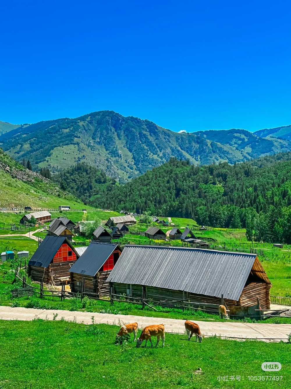 喀納斯景點, 禾木村, 喀納斯旅遊攻略, 喀納斯自由行