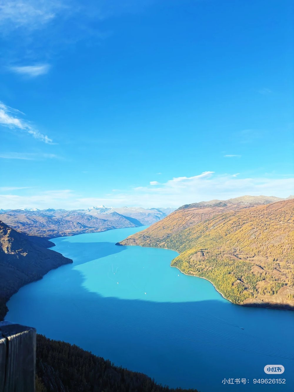 喀納斯景點, 觀魚台, 喀納斯旅遊攻略, 喀納斯自由行