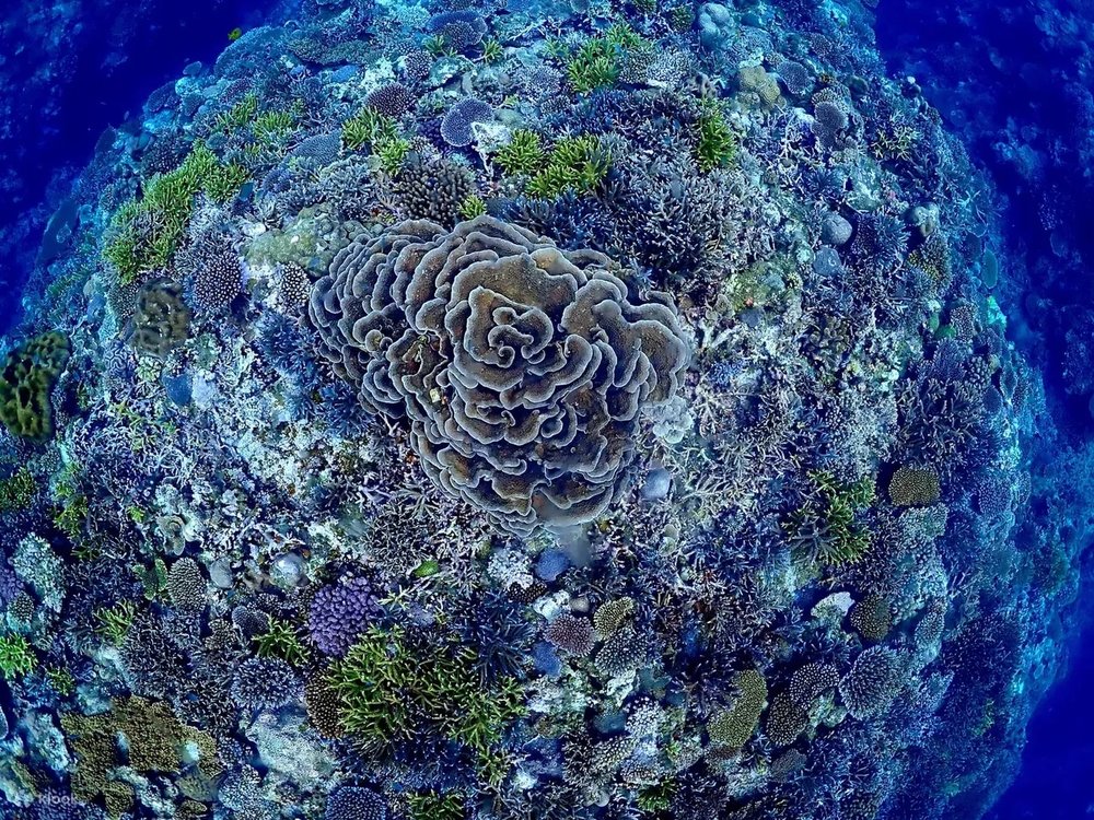 石垣島自由行, 石垣島建議行程, 石垣島自由行, 石垣島旅遊