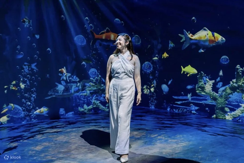 space and time s'maison