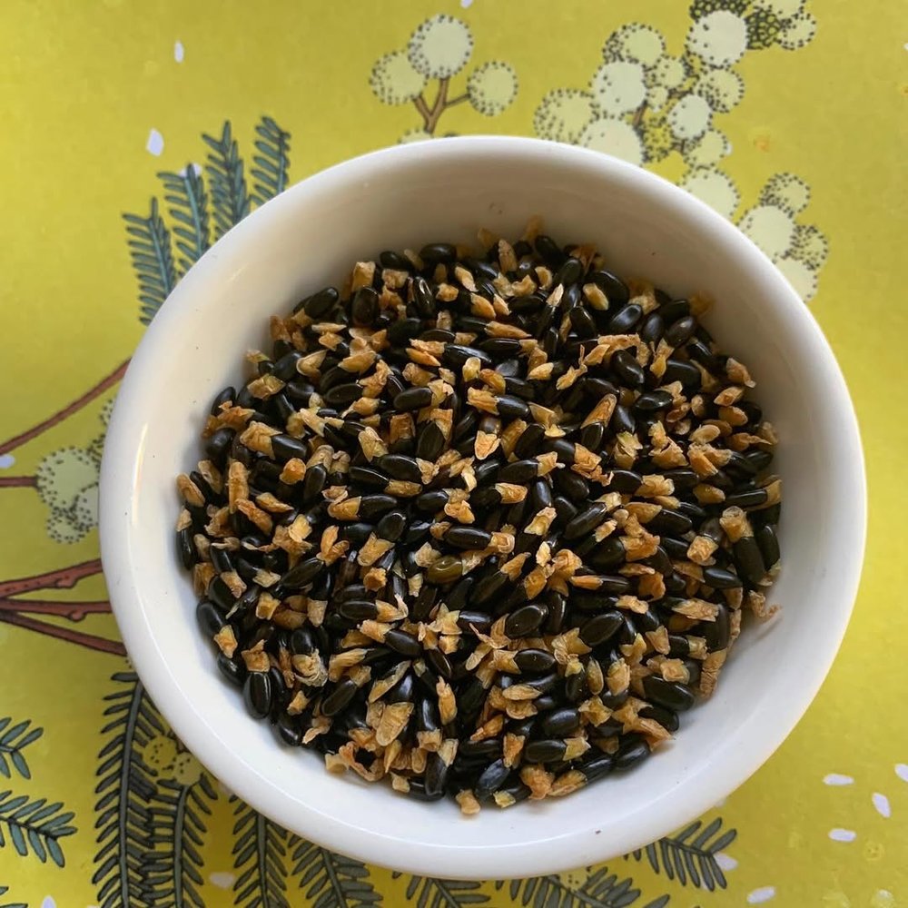 オーストラリア 料理 ワトルシード