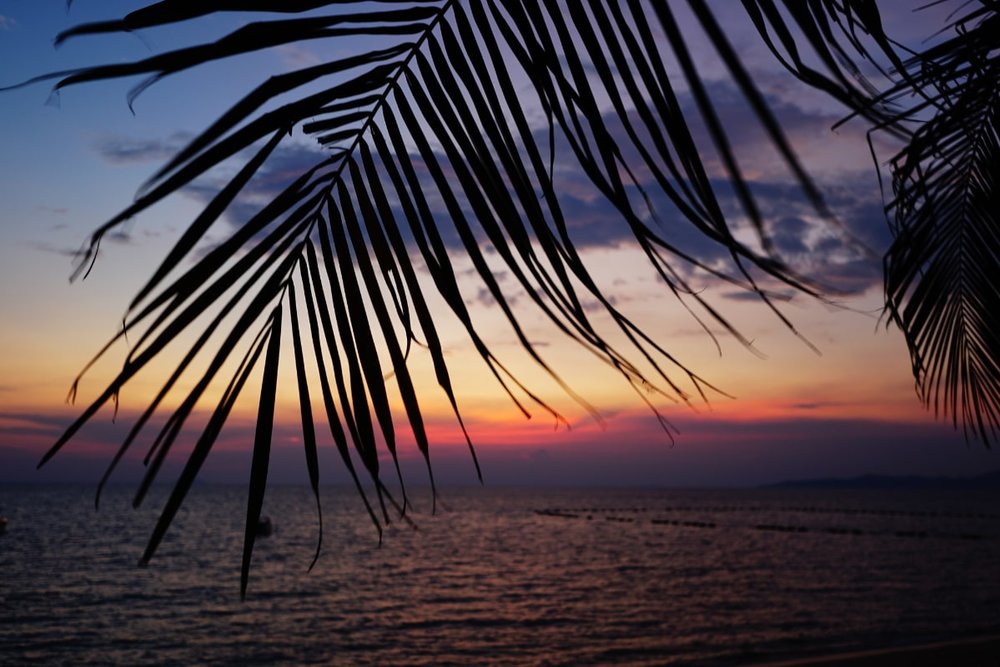  Bãi Biển Dong Tan - Không Gian Mở Thân Thiện & Đầy Sức Sống