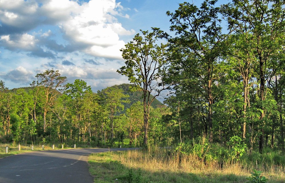 Vườn Quốc Gia Yok Đôn