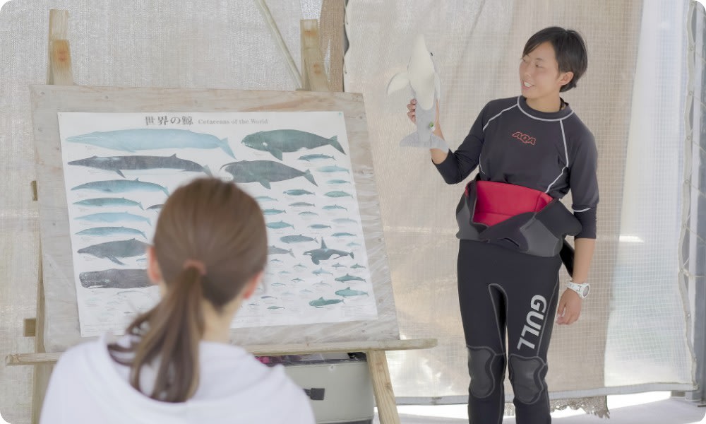 石垣島景點, DOLPHIN FANTASY 石垣島