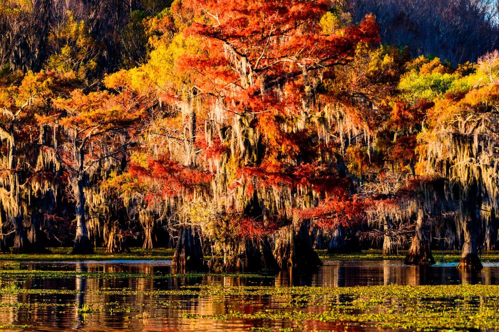 Công Viên Văn Hóa Trung Hoa Cẩm Tú