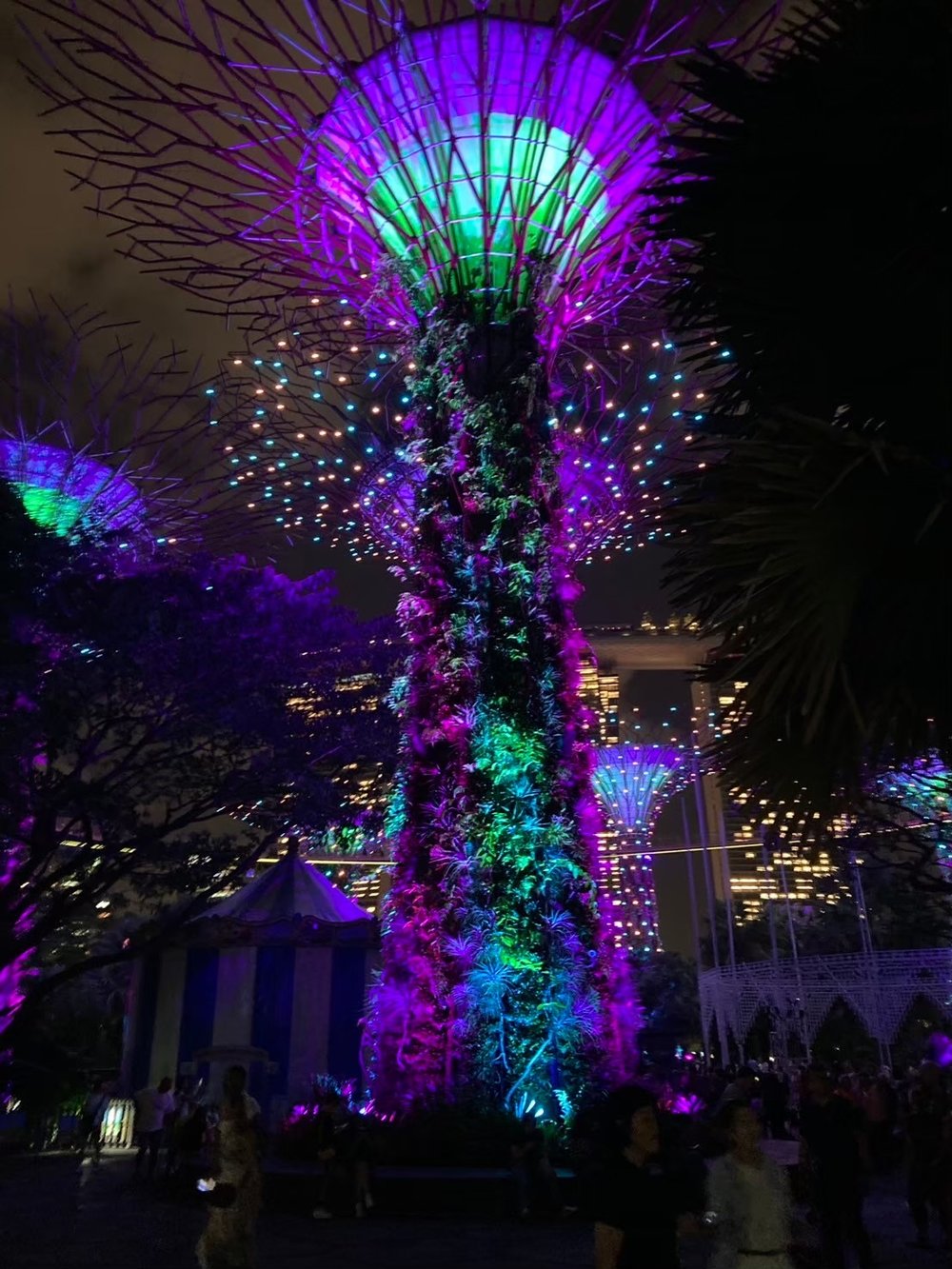 シンガポール・チャンギ空港で無料の市内トランジットツアー体験🇸🇬 〜乗り継ぎ時間を有効活用✈️〜　ガーデンズ・バイ・ザ・ベイ　スーパーツリー・グローブ１