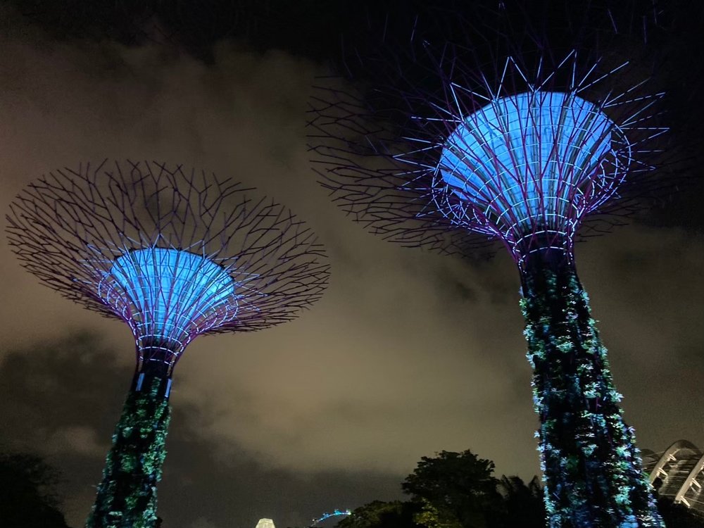 シンガポール・チャンギ空港で無料の市内トランジットツアー体験🇸🇬 〜乗り継ぎ時間を有効活用✈️〜　ガーデンズ・バイ・ザ・ベイ　スーパーツリー・グローブ2