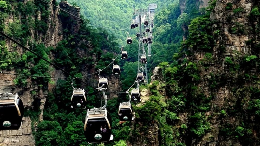 Tour Riêng Trong Ngày Công Viên Quốc Gia Zhangjiajie Và Núi Tianzi