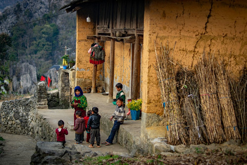 Bản Tả Giàng Phình – Thiên Nhiên Hoang Sơ, Hoa Nở Rực Rỡ