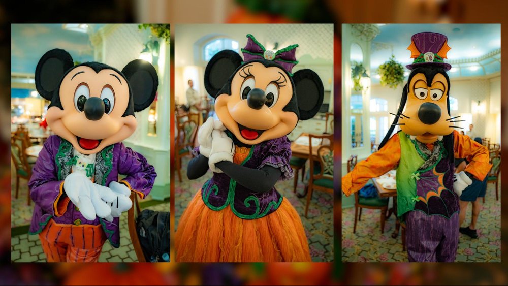 2025年最新！香港ディズニーランドのキャラクターグリーティング完全ガイド　ミッキー グーフィー ミニー 