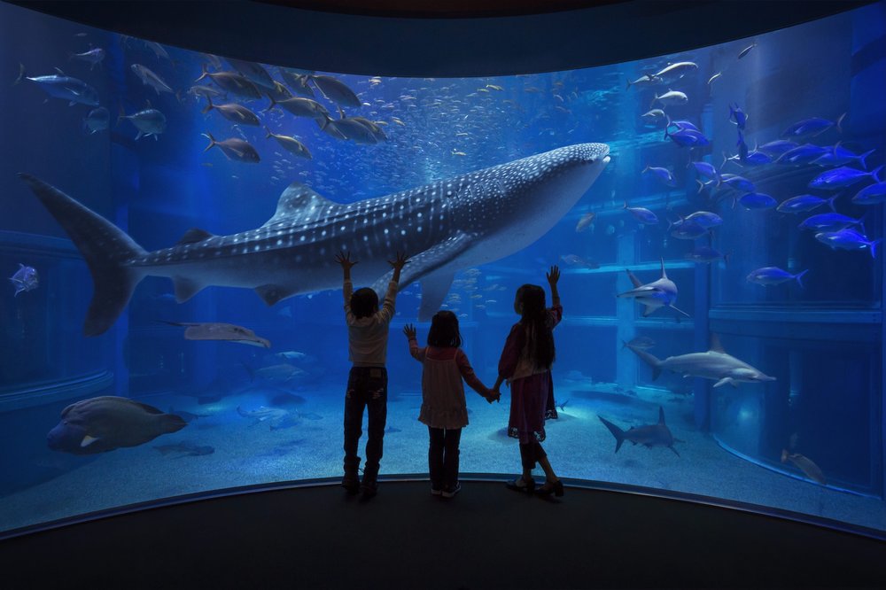 osaka aquarium kaiyukan displays