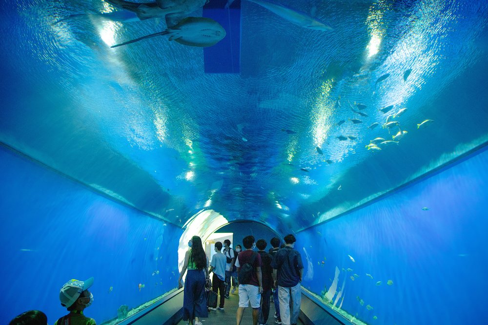 osaka aquarium kaiyukan aqua gate