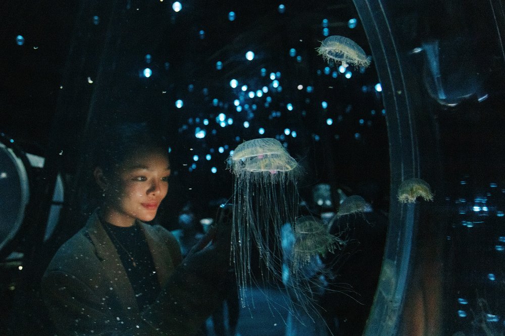 osaka aquarium kaiyukan jellyfish