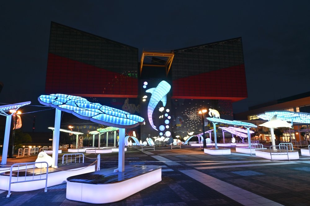 osaka aquarium kaiyukan night 