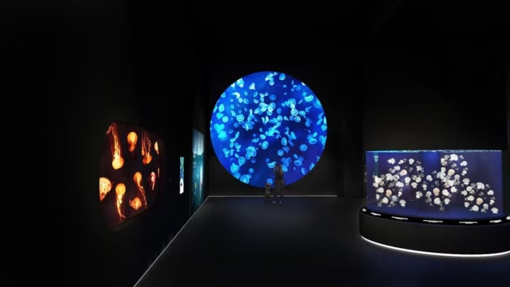 Singapore oceanarium klook