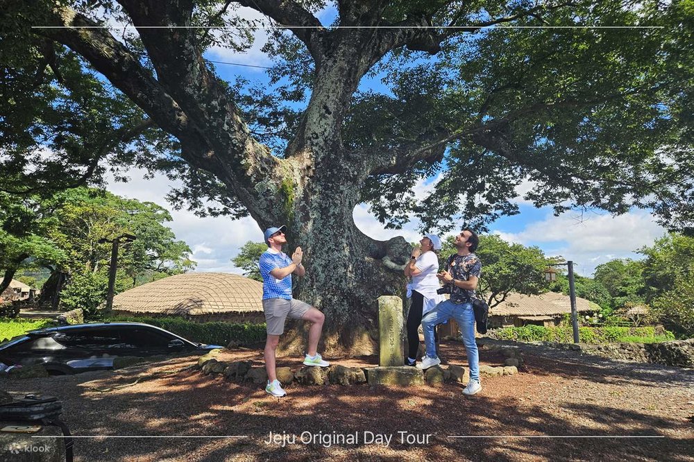 Du Lịch Jeju Có Cần Visa Không?