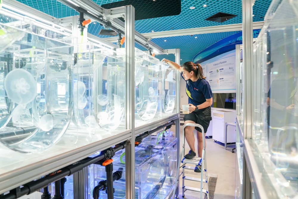 singapore oceanarium klook