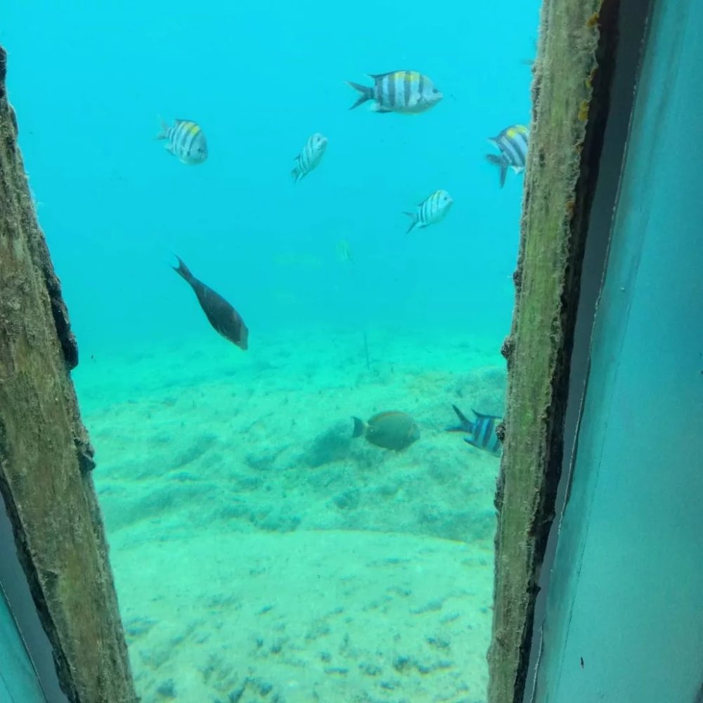 宮古島景點, 宮古島自由行, 宮古島海中公園