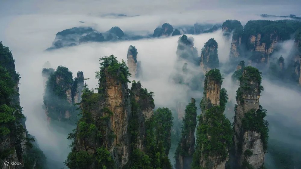 Ngày 1: Di Chuyển Từ Việt Nam Đến Trương Gia Giới