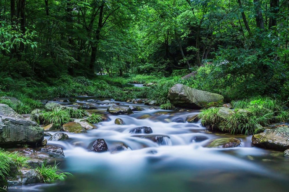 Lưu Ý Về Du Lịch Tự Túc Tại Phượng Hoàng Cổ Trấn Và Trương Gia Giới 
