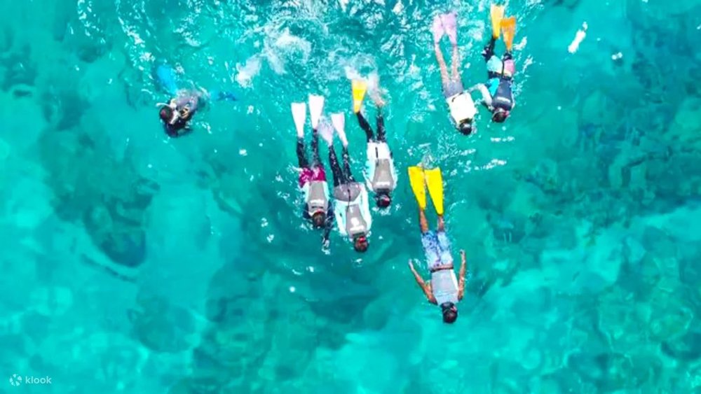 沖繩慶良間諸島半日浮潛