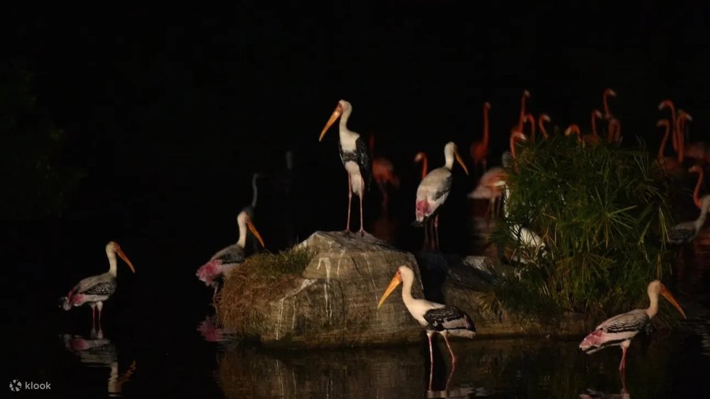 Vinpearl Safari Phú Quốc