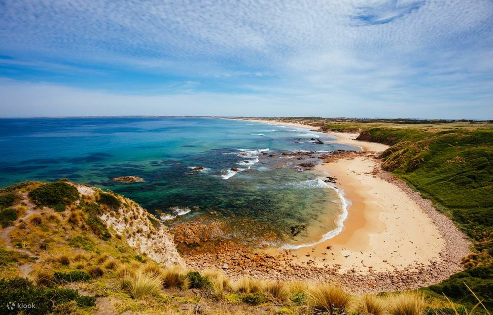 Tham Quan Đảo Phillip