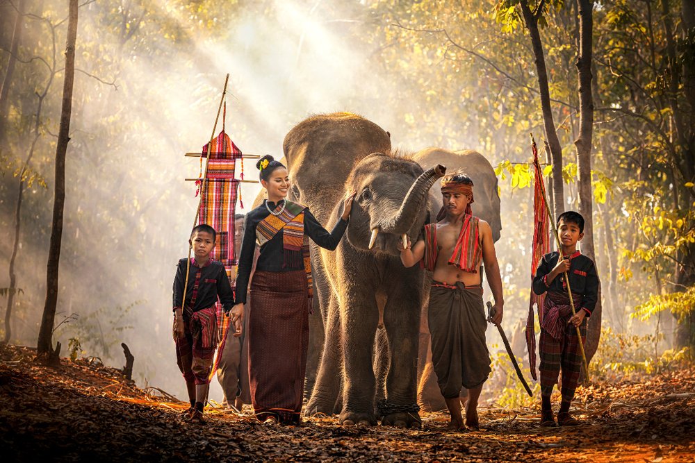 Lễ Hội Voi Surin: Tôn Vinh Mối Quan Hệ Giữa Con Người và Voi