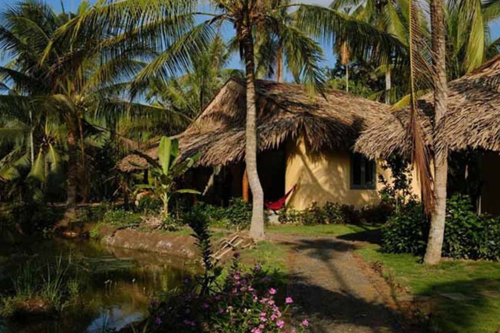 Duck Homestay Bến Tre - Độc Đáo, Gần Gũi Với Thiên Nhiên