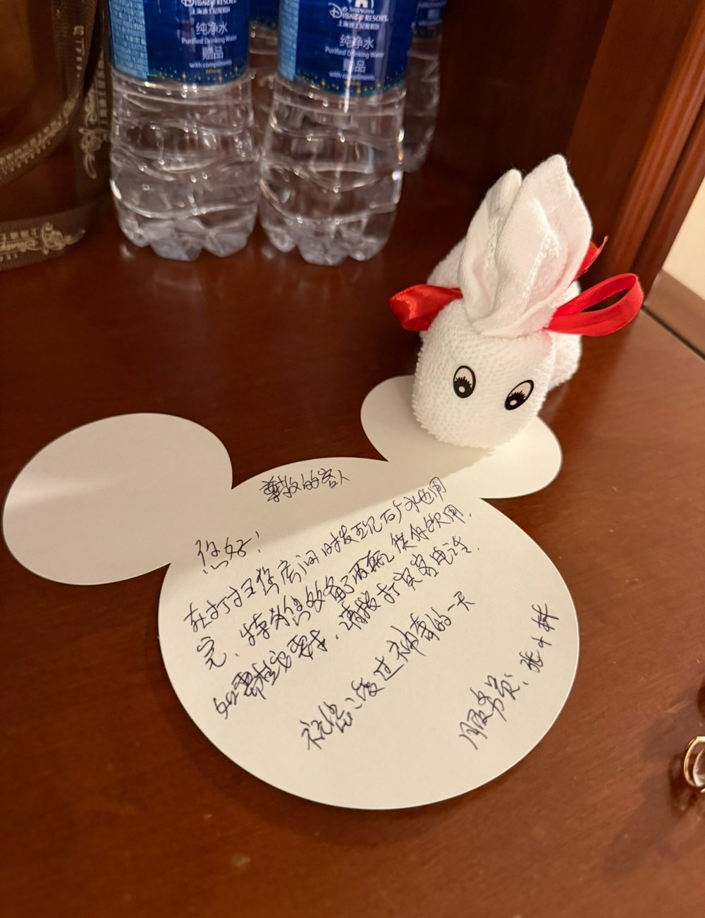 上海ディズニーランドについて知りたい50のこと！ 上海ディズニーリゾート　メモ