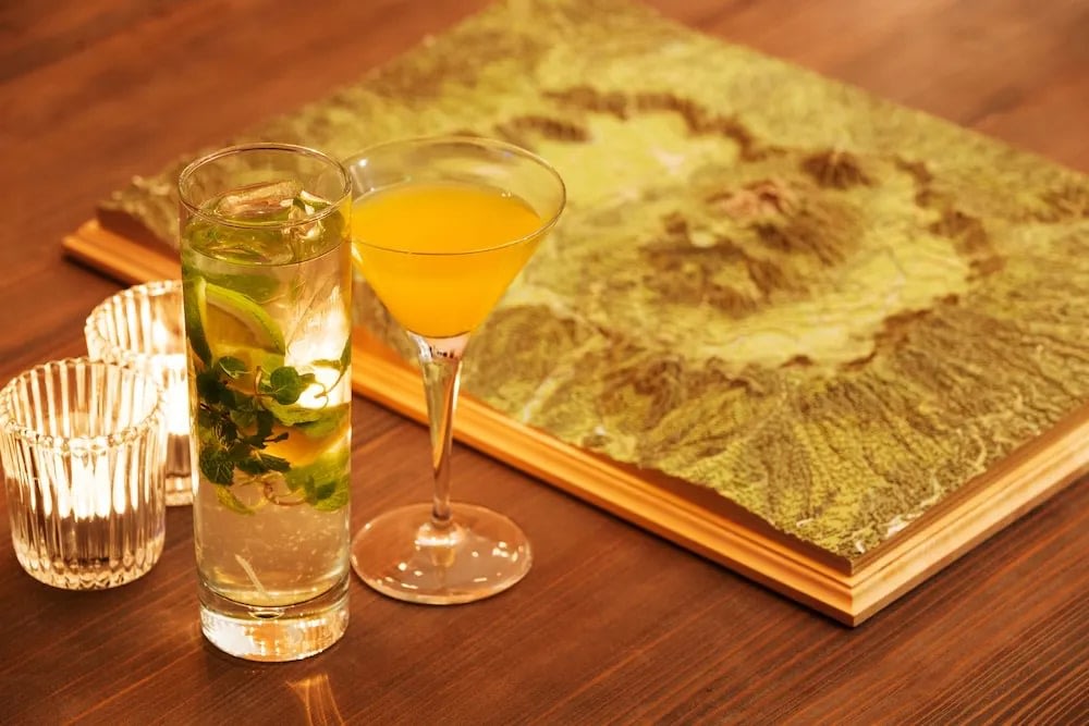 星野集團,星野 集團 界 由布院,星野 集團 界 別府,星野 集團 界 波 羅 多,星野 集團 界 津 輕,星野 集團 界 阿蘇, 星野酒店,tomamu 星野,星野 酒店 北海道