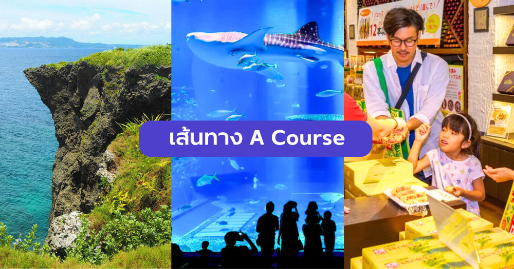 ทัวร์ Hip Hop Bus โอกินาว่า เส้นทาง A Course