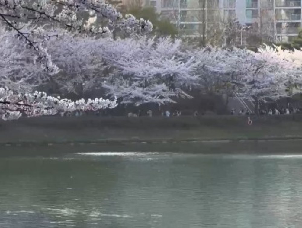[TW]石村湖水公園