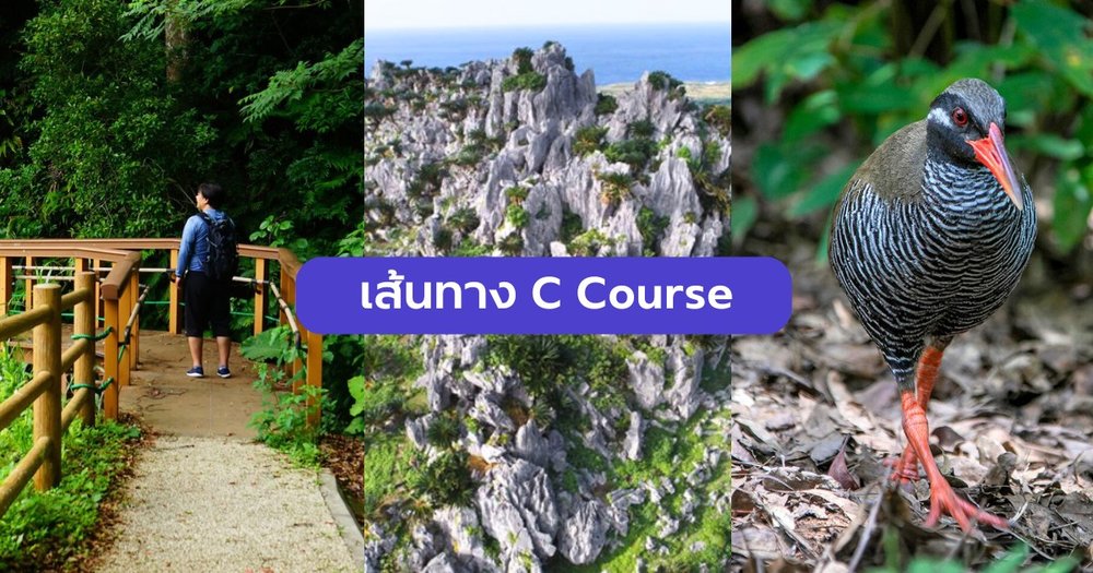 ทัวร์ Hip Hop Bus โอกินาว่า เส้นทาง C Course