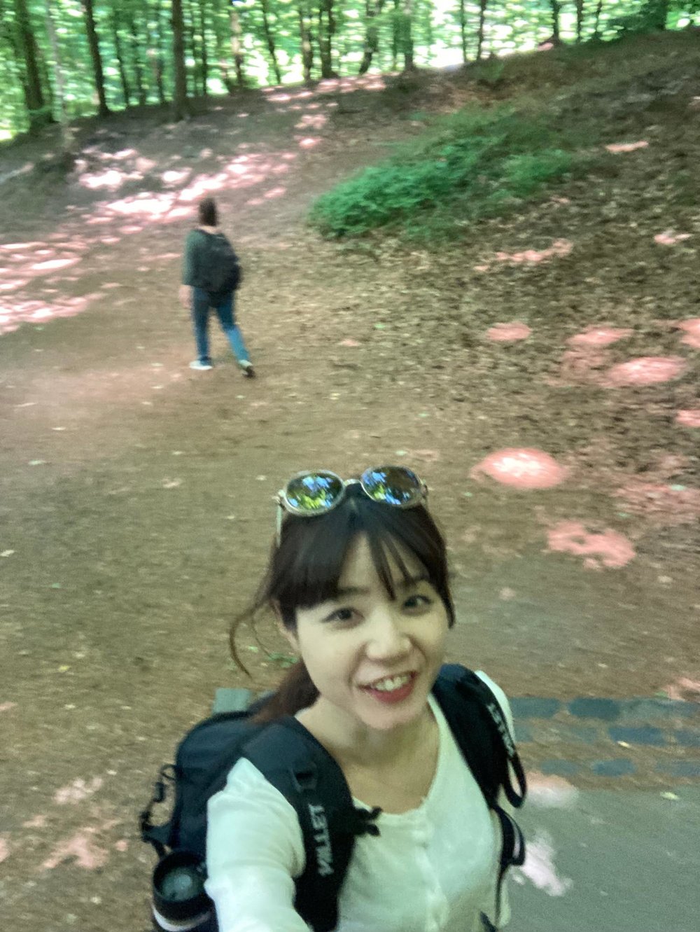 【デュッセルドルフから日帰り列車旅】Königswinter（ケーニヒスヴィンター）でドイツを100%たのしむ1日　森　林　散歩