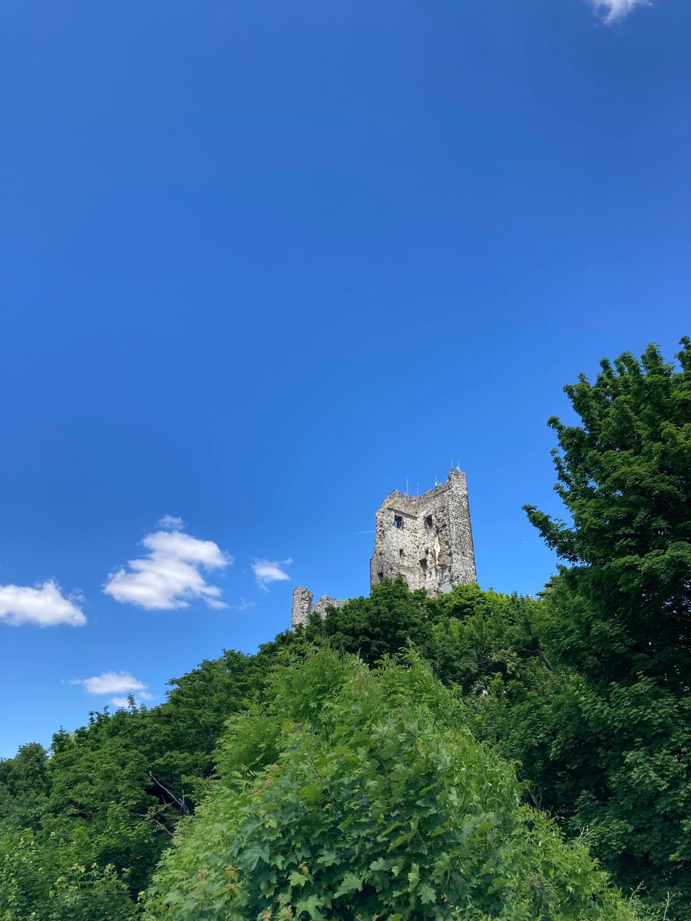 【デュッセルドルフから日帰り列車旅】Königswinter（ケーニヒスヴィンター）でドイツを100%たのしむ1日　森　城　ドラッヘンフェルス城（城跡）