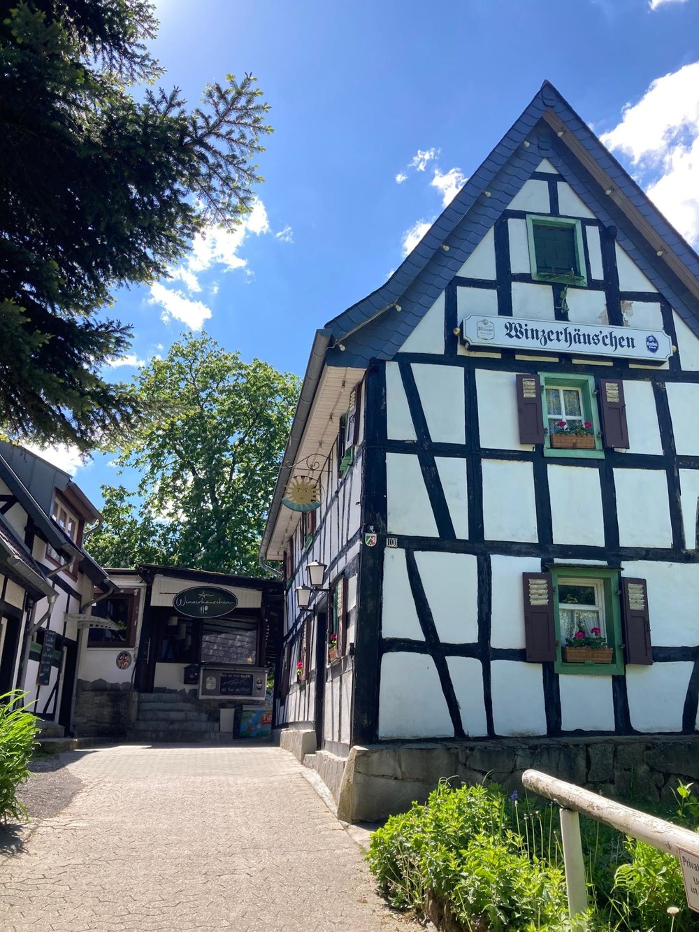 【デュッセルドルフから日帰り列車旅】Königswinter（ケーニヒスヴィンター）でドイツを100%たのしむ1日　レストラン　お昼ごはん