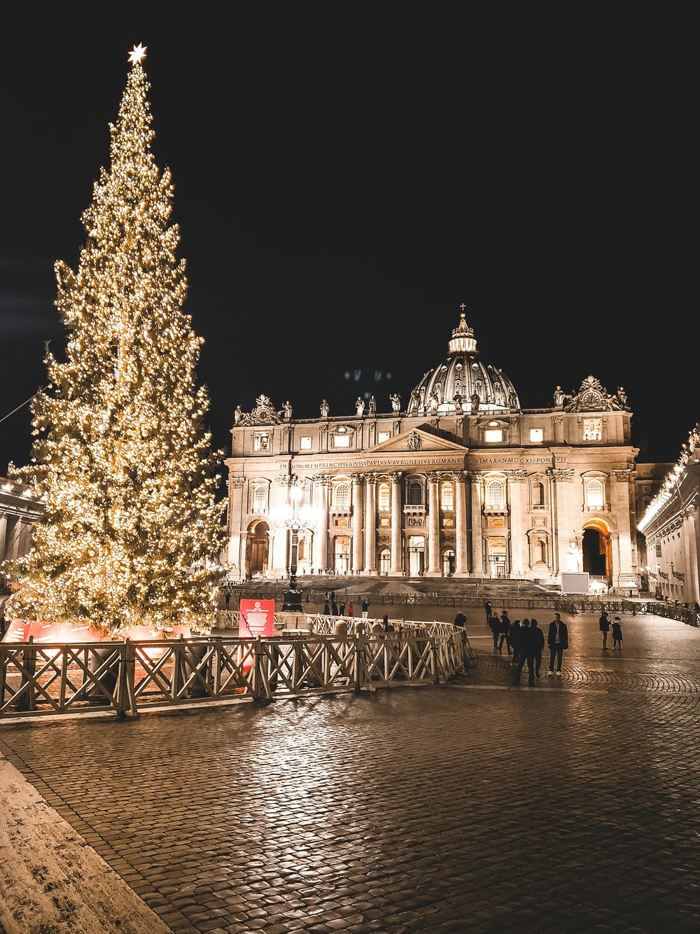 Christmas Tree in Vatican