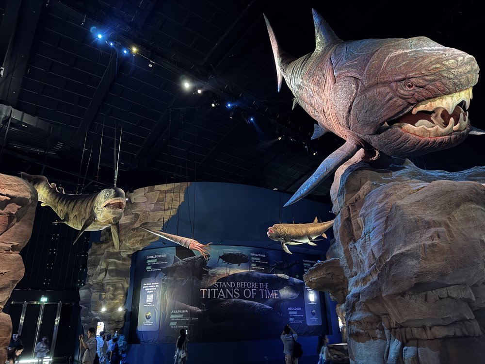 Singapore Oceanarium - Ancient Waters