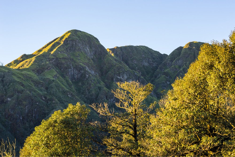 Vườn Quốc Gia Hoàng Liên – Không Gian Xanh Kỳ Vĩ Giữa Đại Ngàn